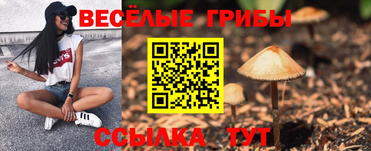 Галлюциногенные грибы MAGIC MUSHROOMS Абакан