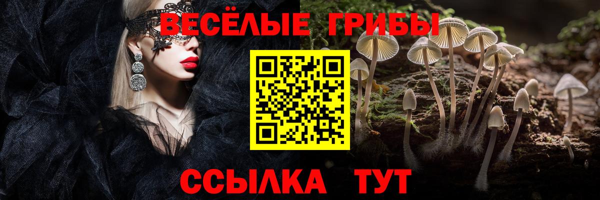 Абакан  где найти наркотики  Вход с VPN  Галлюциногенные грибы Cubensis 